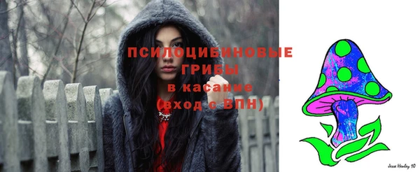 бошки Россошь