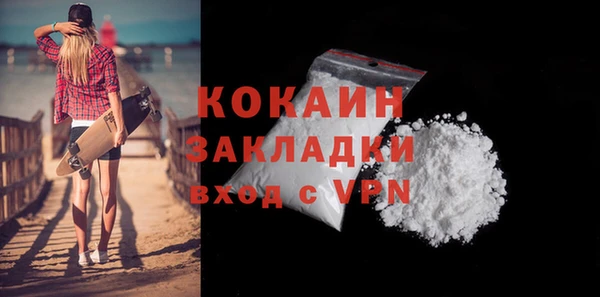 сатива Белокуриха