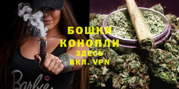 сатива Белокуриха