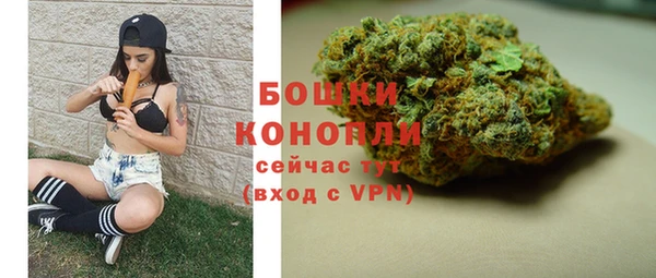 сатива Белокуриха