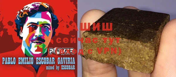сатива Белокуриха
