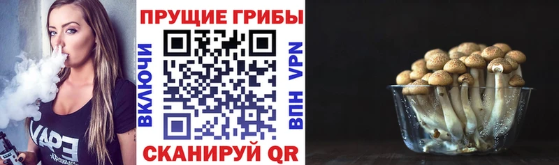 Псилоцибиновые грибы ЛСД  закладка  Кумертау 